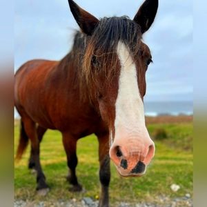 Meet your Posher, Katherine